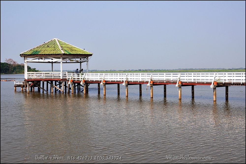 บึงสีไฟ บึงน้ำขนาดใหญ่และสวนสาธารณะของพิจิตร ปี56