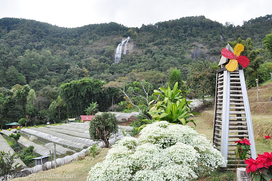 ทริปน้องบู่บู๋ ตอน: จุดกางเต็นท์ม่อนอิงฟ้าข้างน้ำตกสิริภูมิ